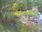 Live Camera Feed at Dulverton Weir