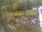 Live Camera Feed at Dulverton Weir