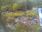 Live Camera Feed at Dulverton Weir