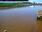 Live Camera Feed at Dunaball