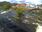 Live Camera Feed at Llangollen