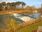 Live Camera Feed at Diglis Weir