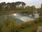 Live Camera Feed at Diglis Weir