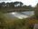 Live Camera Feed at Diglis Weir