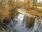 Live Camera Feed at Dolau Afon