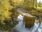 Live Camera Feed at Dolau Afon