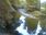 Live Camera Feed at Dolau Afon