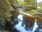 Live Camera Feed at Dolau Afon