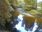 Live Camera Feed at Dolau Afon