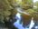 Live Camera Feed at Dolau Afon