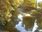 Live Camera Feed at Dolau Afon