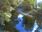 Live Camera Feed at Dolau Afon