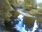 Live Camera Feed at Dolau Afon