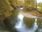 Live Camera Feed at Dolau Afon