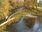 Live Camera Feed at Dolau Afon