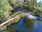 Live Camera Feed at Dolau Afon