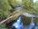 Live Camera Feed at Dolau Afon