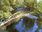 Live Camera Feed at Dolau Afon