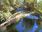 Live Camera Feed at Dolau Afon