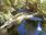 Live Camera Feed at Dolau Afon