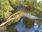 Live Camera Feed at Dolau Afon