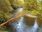Live Camera Feed at Dolau Afon