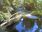 Live Camera Feed at Dolau Afon