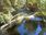 Live Camera Feed at Dolau Afon