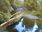 Live Camera Feed at Dolau Afon