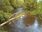 Live Camera Feed at Dolau Afon