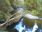 Live Camera Feed at Dolau Afon