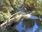 Live Camera Feed at Dolau Afon