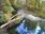 Live Camera Feed at Dolau Afon