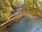 Live Camera Feed at Dolau Afon