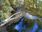 Live Camera Feed at Dolau Afon