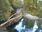 Live Camera Feed at Dolau Afon