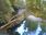 Live Camera Feed at Dolau Afon
