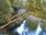 Live Camera Feed at Dolau Afon