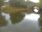 Live Camera Feed at Exebridge