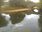 Live Camera Feed at Exebridge