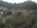Live Camera Feed at Penrith - Eamont Bridge