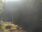Live Camera Feed at Edzell