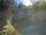 Live Camera Feed at Fyvie