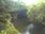 Live Camera Feed at Fyvie