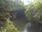 Live Camera Feed at Fyvie