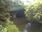 Live Camera Feed at Fyvie
