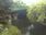 Live Camera Feed at Fyvie