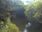 Live Camera Feed at Fyvie