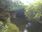 Live Camera Feed at Fyvie