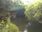 Live Camera Feed at Fyvie